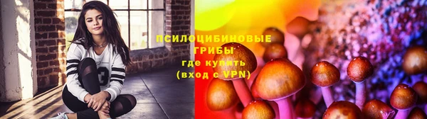 мяу мяу мука Алзамай