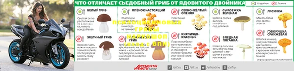 ГАЛЛЮЦИНОГЕННЫЕ ГРИБЫ Алексин