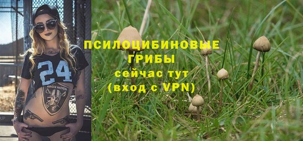 мяу мяу мука Алзамай