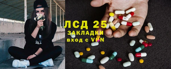 ГАЛЛЮЦИНОГЕННЫЕ ГРИБЫ Алексин