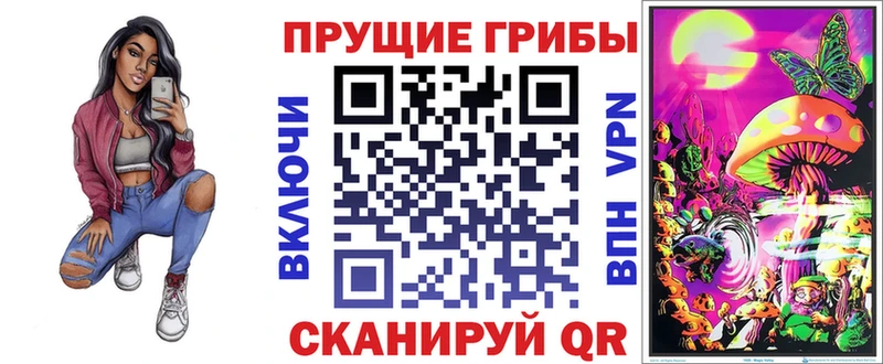 Галлюциногенные грибы Psilocybine cubensis Мичуринск