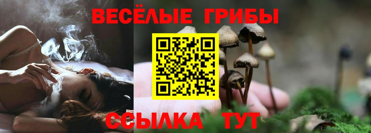 Галлюциногенные грибы MAGIC MUSHROOMS Мичуринск